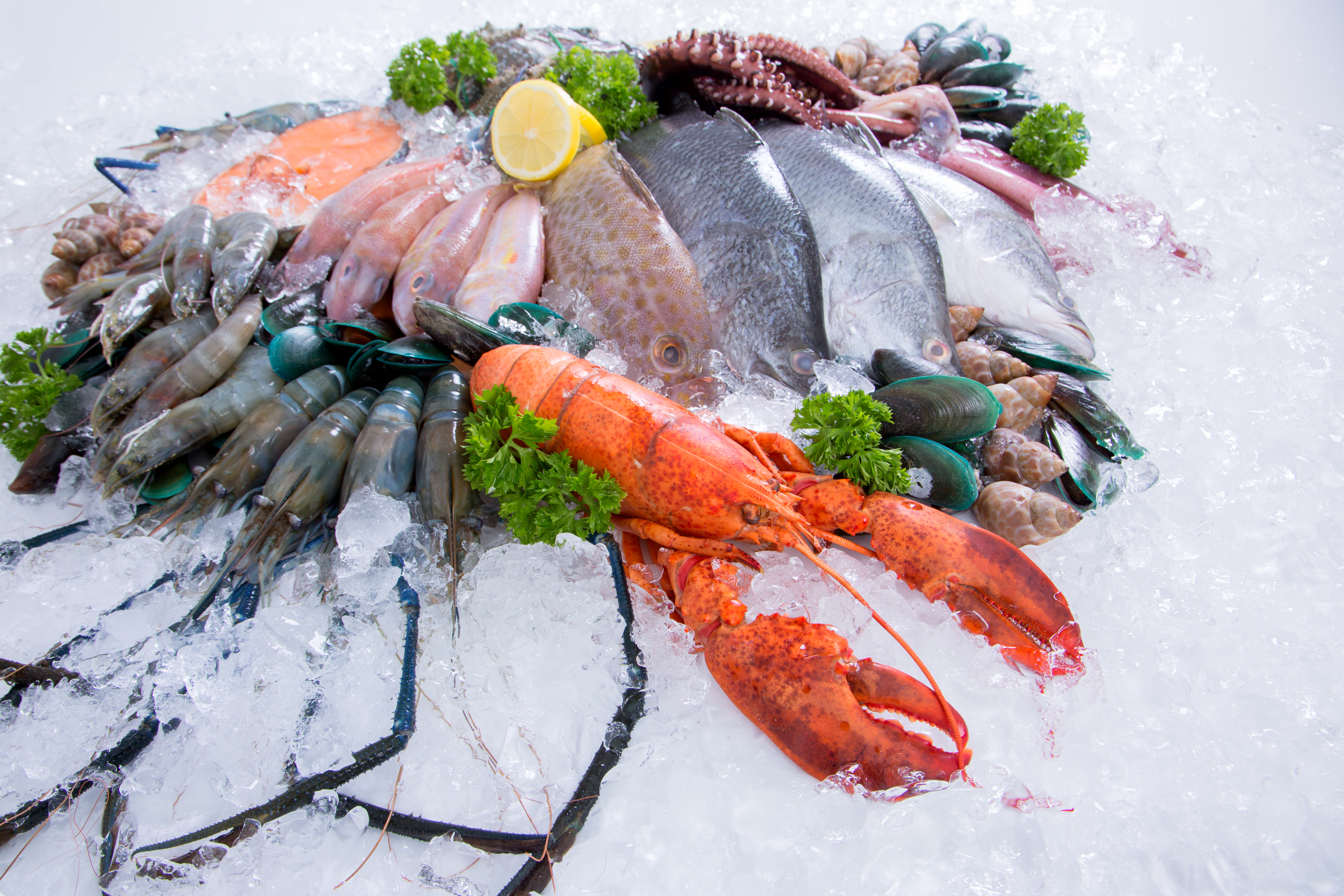 Seafood